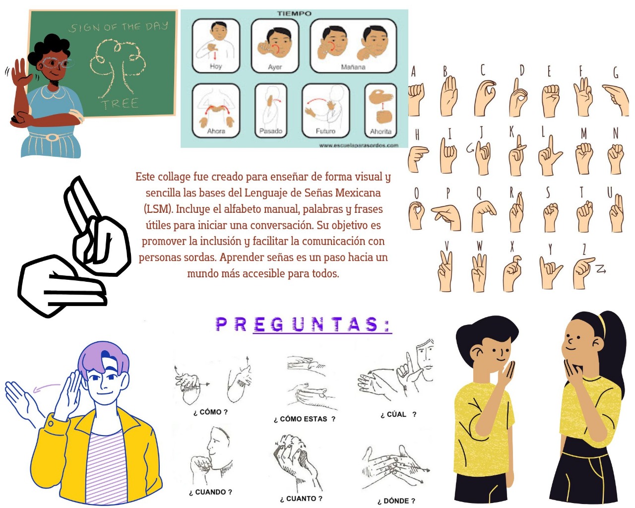COLLAGE LSM
